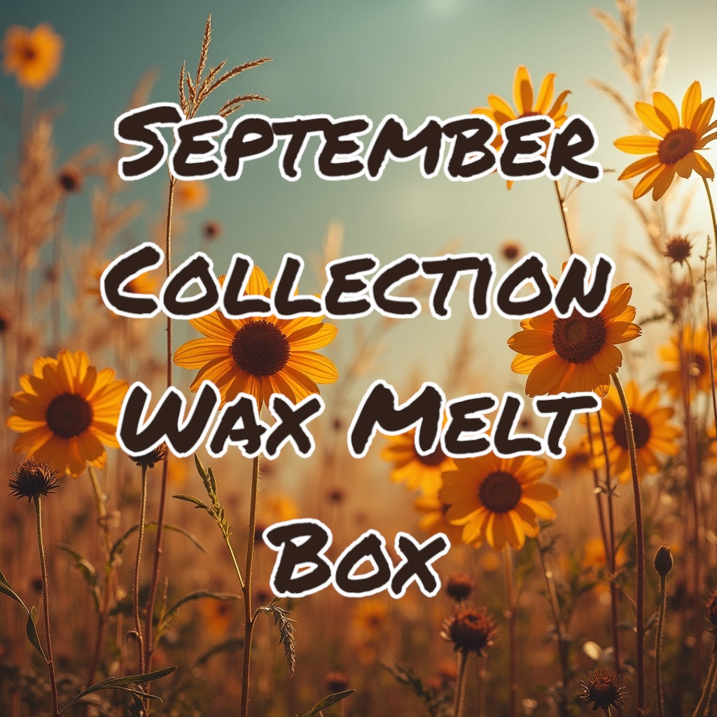 WAX MELT SELECTION BOXES- MONTHLY